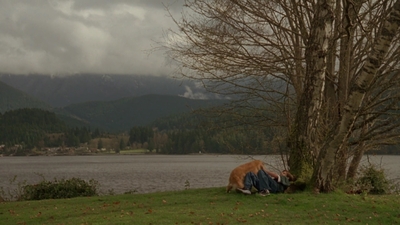 1998_-_Air_Bud_Golden_Receiver_mp41625.jpg