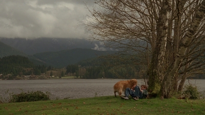 1998_-_Air_Bud_Golden_Receiver_mp41626.jpg