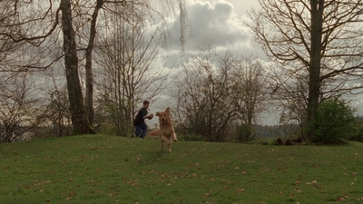 1998_-_Air_Bud_Golden_Receiver_mp41629.jpg