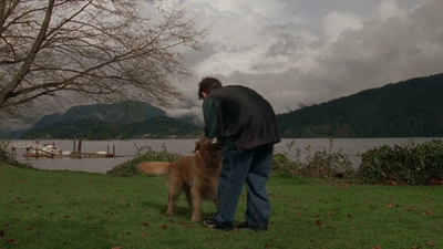 1998_-_Air_Bud_Golden_Receiver_mp41648.jpg
