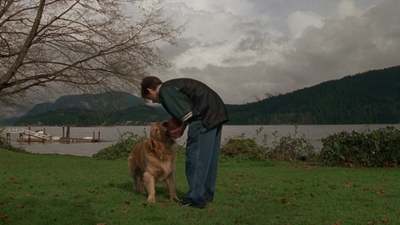 1998_-_Air_Bud_Golden_Receiver_mp41649.jpg