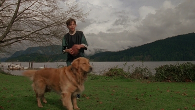 1998_-_Air_Bud_Golden_Receiver_mp41651.jpg