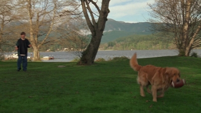 1998_-_Air_Bud_Golden_Receiver_mp41657.jpg