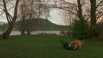 1998_-_Air_Bud_Golden_Receiver_mp41678.jpg