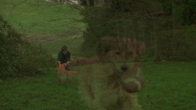 1998_-_Air_Bud_Golden_Receiver_mp41687.jpg