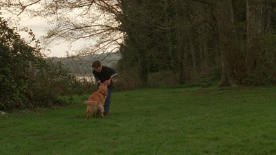 1998_-_Air_Bud_Golden_Receiver_mp41688.jpg