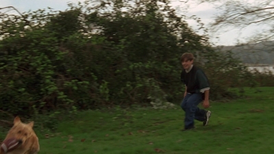 1998_-_Air_Bud_Golden_Receiver_mp41695.jpg