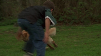1998_-_Air_Bud_Golden_Receiver_mp41698.jpg