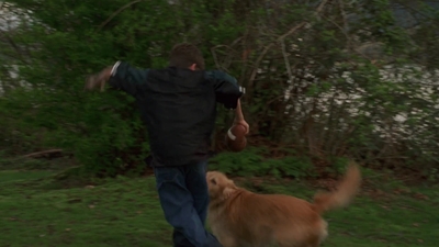 1998_-_Air_Bud_Golden_Receiver_mp41701.jpg