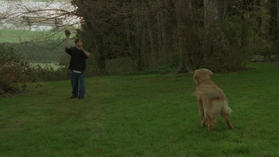 1998_-_Air_Bud_Golden_Receiver_mp41703.jpg