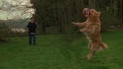 1998_-_Air_Bud_Golden_Receiver_mp41704.jpg