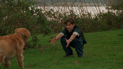 1998_-_Air_Bud_Golden_Receiver_mp41706.jpg