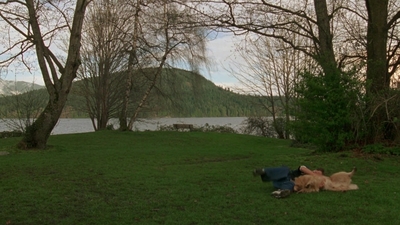 1998_-_Air_Bud_Golden_Receiver_mp41710.jpg