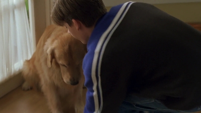 1998_-_Air_Bud_Golden_Receiver_mp41723.jpg