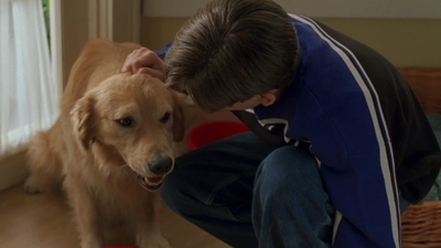 1998_-_Air_Bud_Golden_Receiver_mp41727.jpg