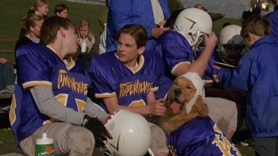 1998_-_Air_Bud_Golden_Receiver_mp42604.jpg