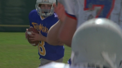 1998_-_Air_Bud_Golden_Receiver_mp44846.jpg
