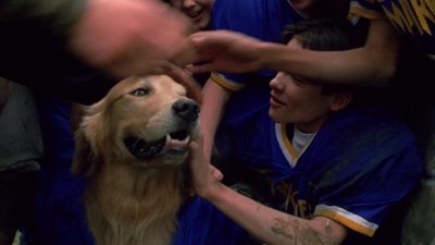 1998_-_Air_Bud_Golden_Receiver_mp44986.jpg