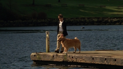 1998_-_Air_Bud_Golden_Receiver_mp45049.jpg