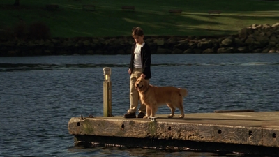 1998_-_Air_Bud_Golden_Receiver_mp45050.jpg
