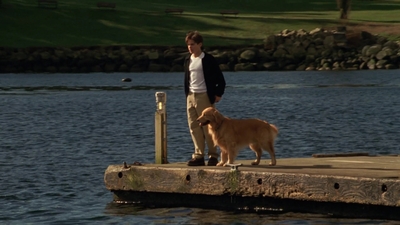 1998_-_Air_Bud_Golden_Receiver_mp45051.jpg