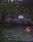 Filename=1998_-_Air_Bud_Golden_Receiver_mp40034.jpg
Filesize=895KiB
Dimensions=1920x1080
Date added=Dec 29, 2023 1998_-_Air_Bud_Golden_Receiver_mp40034.jpg