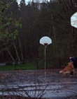 Filename=1998_-_Air_Bud_Golden_Receiver_mp40035.jpg
Filesize=1041KiB
Dimensions=1920x1080
Date added=Dec 29, 2023 1998_-_Air_Bud_Golden_Receiver_mp40035.jpg