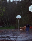 Filename=1998_-_Air_Bud_Golden_Receiver_mp40036.jpg
Filesize=1053KiB
Dimensions=1920x1080
Date added=Dec 29, 2023 1998_-_Air_Bud_Golden_Receiver_mp40036.jpg