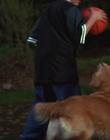 Filename=1998_-_Air_Bud_Golden_Receiver_mp40038.jpg
Filesize=613KiB
Dimensions=1920x1080
Date added=Dec 29, 2023 1998_-_Air_Bud_Golden_Receiver_mp40038.jpg
