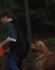 Filename=1998_-_Air_Bud_Golden_Receiver_mp40039.jpg
Filesize=558KiB
Dimensions=1920x1080
Date added=Dec 29, 2023 1998_-_Air_Bud_Golden_Receiver_mp40039.jpg