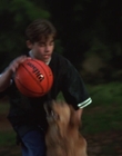 Filename=1998_-_Air_Bud_Golden_Receiver_mp40040.jpg
Filesize=476KiB
Dimensions=1920x1080
Date added=Dec 29, 2023 1998_-_Air_Bud_Golden_Receiver_mp40040.jpg
