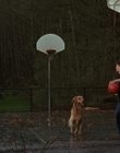 Filename=1998_-_Air_Bud_Golden_Receiver_mp40055.jpg
Filesize=922KiB
Dimensions=1920x1080
Date added=Dec 29, 2023 1998_-_Air_Bud_Golden_Receiver_mp40055.jpg
