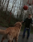 Filename=1998_-_Air_Bud_Golden_Receiver_mp40056.jpg
Filesize=944KiB
Dimensions=1920x1080
Date added=Dec 29, 2023 1998_-_Air_Bud_Golden_Receiver_mp40056.jpg