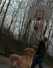 Filename=1998_-_Air_Bud_Golden_Receiver_mp40058.jpg
Filesize=1106KiB
Dimensions=1920x1080
Date added=Dec 29, 2023 1998_-_Air_Bud_Golden_Receiver_mp40058.jpg