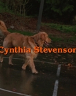 Filename=1998_-_Air_Bud_Golden_Receiver_mp40060.jpg
Filesize=804KiB
Dimensions=1920x1080
Date added=Dec 29, 2023 1998_-_Air_Bud_Golden_Receiver_mp40060.jpg