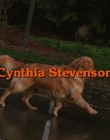 Filename=1998_-_Air_Bud_Golden_Receiver_mp40061.jpg
Filesize=795KiB
Dimensions=1920x1080
Date added=Dec 29, 2023 1998_-_Air_Bud_Golden_Receiver_mp40061.jpg