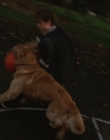 Filename=1998_-_Air_Bud_Golden_Receiver_mp40065.jpg
Filesize=454KiB
Dimensions=1920x1080
Date added=Dec 29, 2023 1998_-_Air_Bud_Golden_Receiver_mp40065.jpg