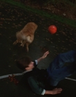 Filename=1998_-_Air_Bud_Golden_Receiver_mp40066.jpg
Filesize=504KiB
Dimensions=1920x1080
Date added=Dec 29, 2023 1998_-_Air_Bud_Golden_Receiver_mp40066.jpg