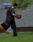 Filename=1998_-_Air_Bud_Golden_Receiver_mp40093.jpg
Filesize=651KiB
Dimensions=1920x1080
Date added=Dec 29, 2023 1998_-_Air_Bud_Golden_Receiver_mp40093.jpg