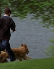 Filename=1998_-_Air_Bud_Golden_Receiver_mp40094.jpg
Filesize=741KiB
Dimensions=1920x1080
Date added=Dec 29, 2023 1998_-_Air_Bud_Golden_Receiver_mp40094.jpg