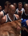 1998_-_Air_Bud_Golden_Receiver_mp40287.jpg