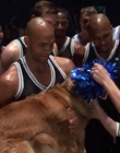 1998_-_Air_Bud_Golden_Receiver_mp40288.jpg