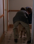 Filename=1998_-_Air_Bud_Golden_Receiver_mp40385.jpg
Filesize=722KiB
Dimensions=1920x1080
Date added=Dec 29, 2023 1998_-_Air_Bud_Golden_Receiver_mp40385.jpg