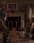 1998_-_Air_Bud_Golden_Receiver_mp40708.jpg
