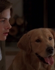 Filename=1998_-_Air_Bud_Golden_Receiver_mp40746.jpg
Filesize=534KiB
Dimensions=1920x1080
Date added=Dec 29, 2023 1998_-_Air_Bud_Golden_Receiver_mp40746.jpg
