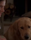 1998_-_Air_Bud_Golden_Receiver_mp40761.jpg