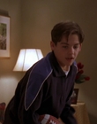 1998_-_Air_Bud_Golden_Receiver_mp40926.jpg