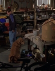 1998_-_Air_Bud_Golden_Receiver_mp40960.jpg