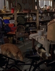 Filename=1998_-_Air_Bud_Golden_Receiver_mp40962.jpg
Filesize=862KiB
Dimensions=1920x1080
Date added=Dec 29, 2023 1998_-_Air_Bud_Golden_Receiver_mp40962.jpg