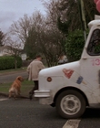 1998_-_Air_Bud_Golden_Receiver_mp41045.jpg